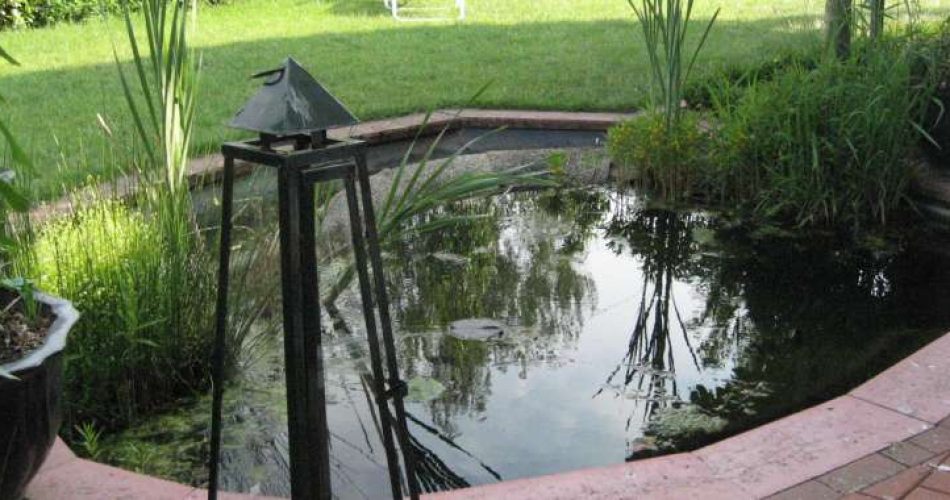 der_garten_1_20121230_1869516712